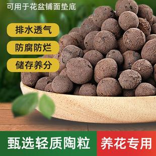 速发填肉垫底花盆回陶多粒铺面石彩色陶土粒水培养花卉营养土种植
