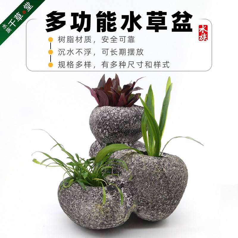 速发千草堂水族水草泥石草盆造景盆陶瓷种植杯UPF头0水5盆躲避产
