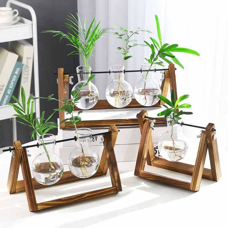 速发创意烧杯水培木架容器绿萝植物玻璃花瓶办公室桌面摆件插花瓶