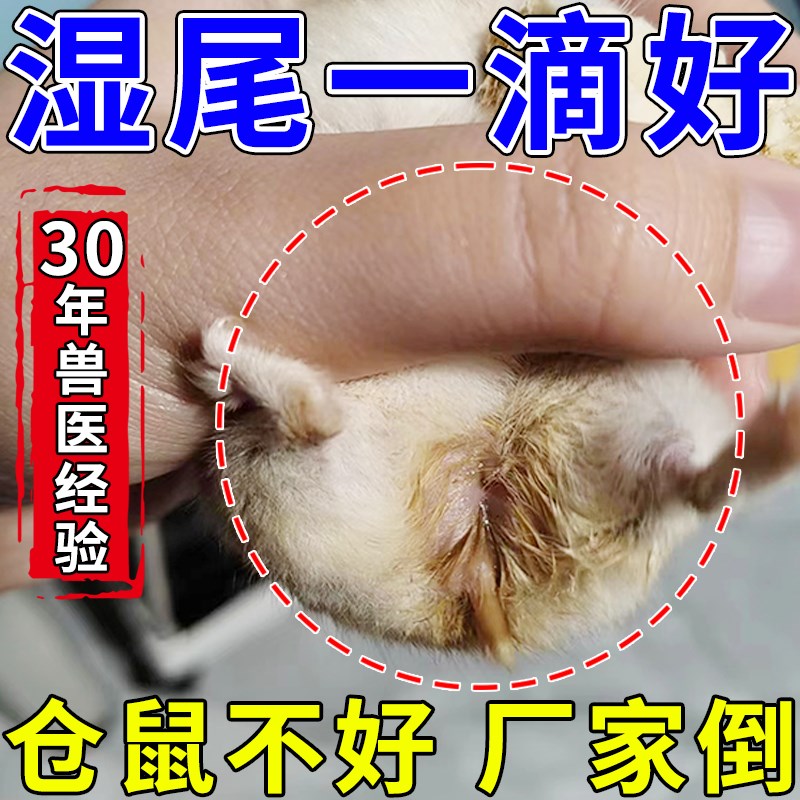 速发仓鼠湿尾药金丝熊常尾品药湿用灵鼠靡营养膏仓萎湿尾滴剂