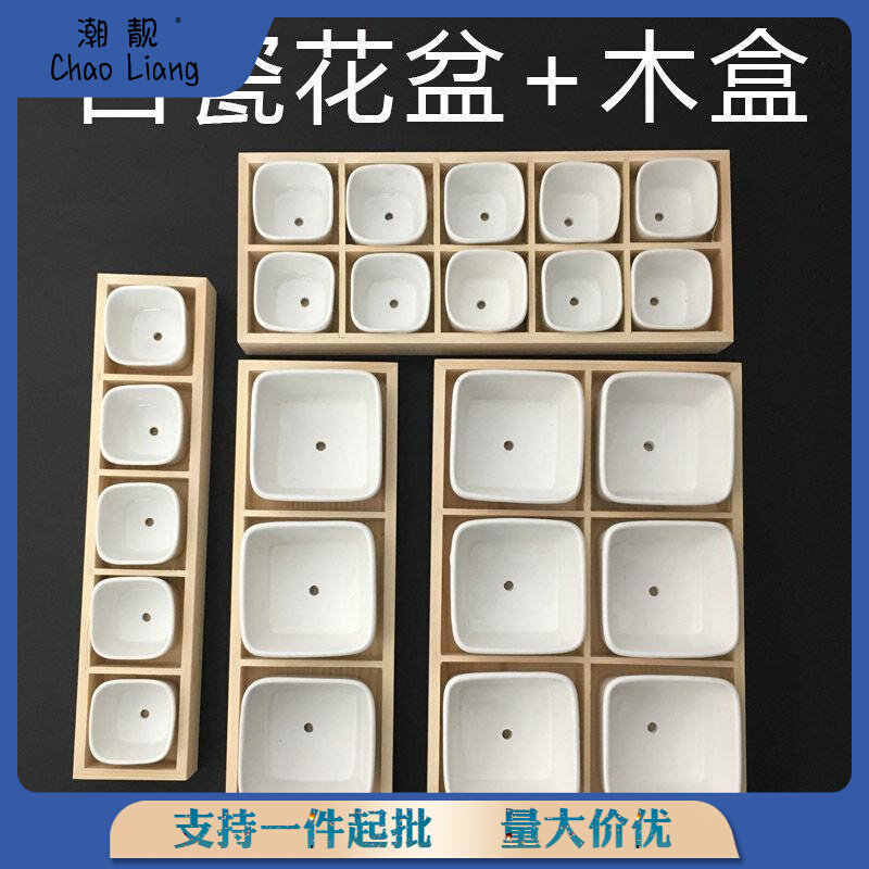 速发多肉组合盆创意木盒搭配简约白瓷花盆个性拼盘3格/5格/6格/10