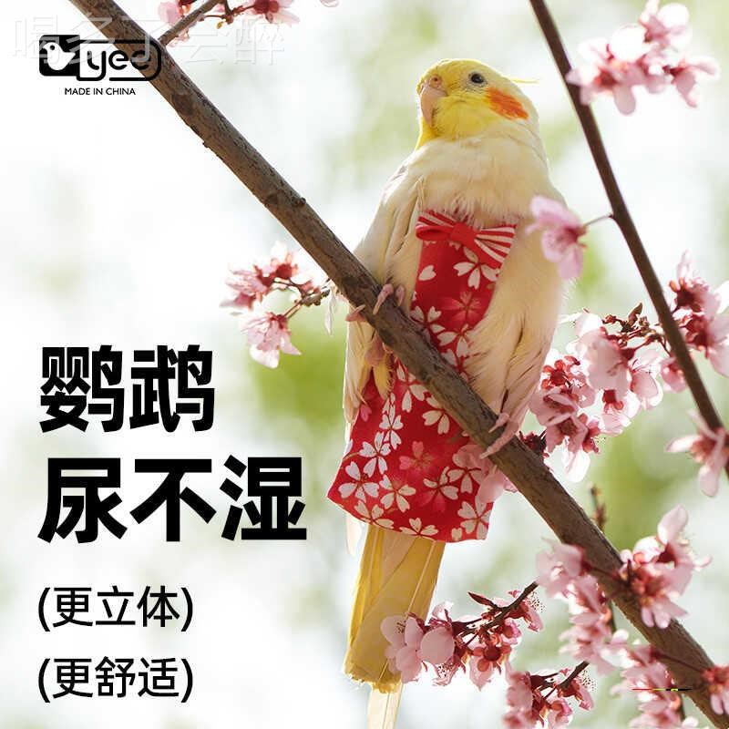速发鹦鹉便服鹦鹉可调节衣用屎兜鸟兜虎皮牡丹玄凤尿裤步
