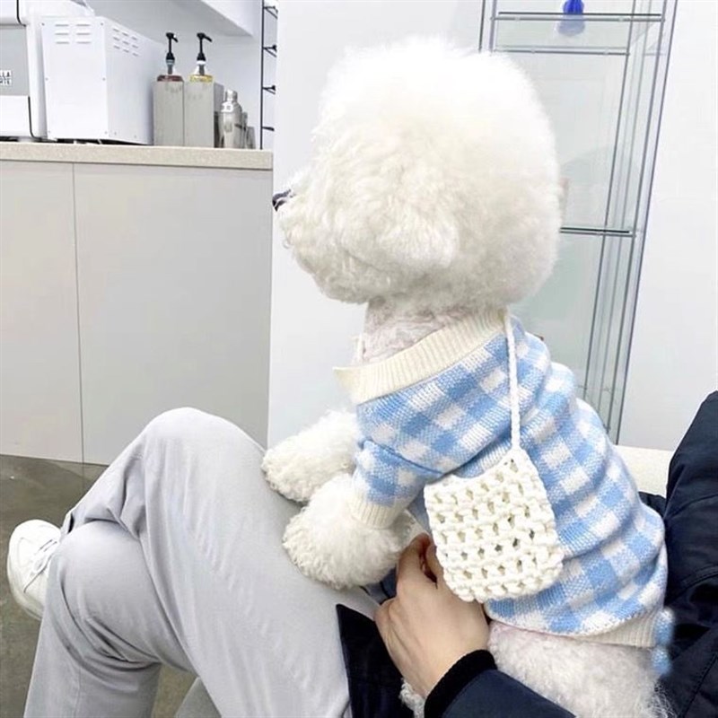 速发秋冬装针织毛衣博美贵幼泰迪衣熊小型宾犬雪纳瑞猫咪比服