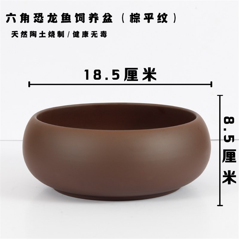速发鱼异型缘六角恐龙瓦片躲避罐躲避屋紫砂繁殖罐鱼缸龟黄L晒台