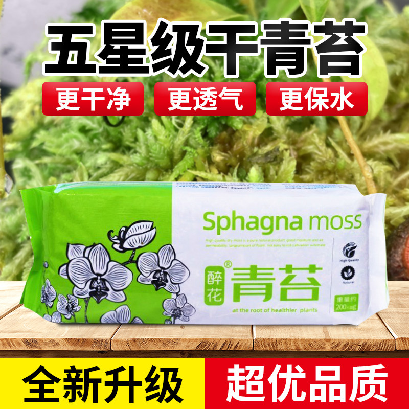 速发干苔藓水养纯青苔兰种蝴蝶兰石斛花植专用营苔土爬宠乌龟垫材
