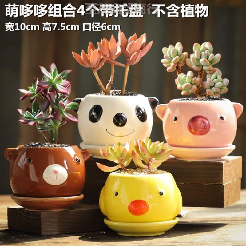 速发新疆盘花盆大号粗陶.陶瓷径口组合家用特大号拼大多