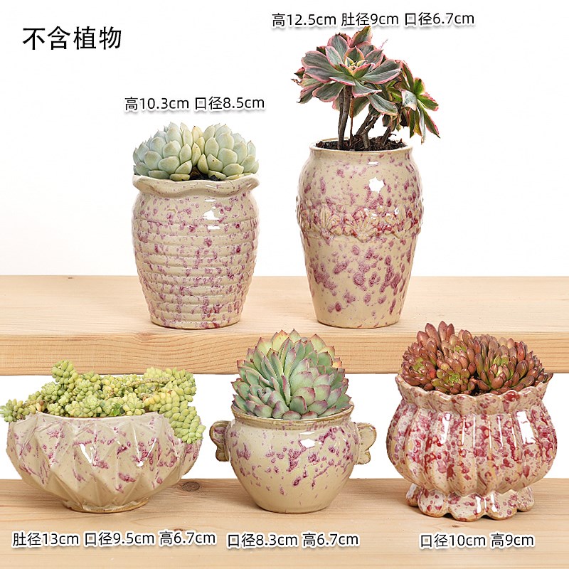 速发多盆花肉粗瓷多肉植物陶陶复古紫砂创意大小口径简约清仓家用
