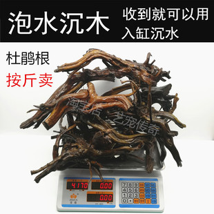 速发泡水缸鹃根斤杜南美缸水族箱沉木造景木栖根鱼缸装饰沉木按鱼