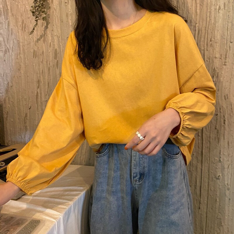 高货女装2024新款秋季韩版ins宽松薄款套头学生显瘦卫衣灯笼袖长