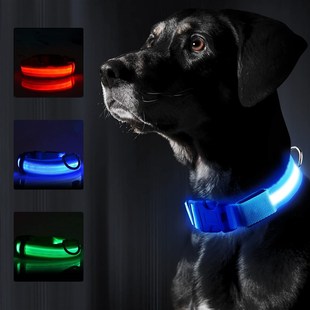 Brieht igchgble High LRg 速发 Visibility Dog