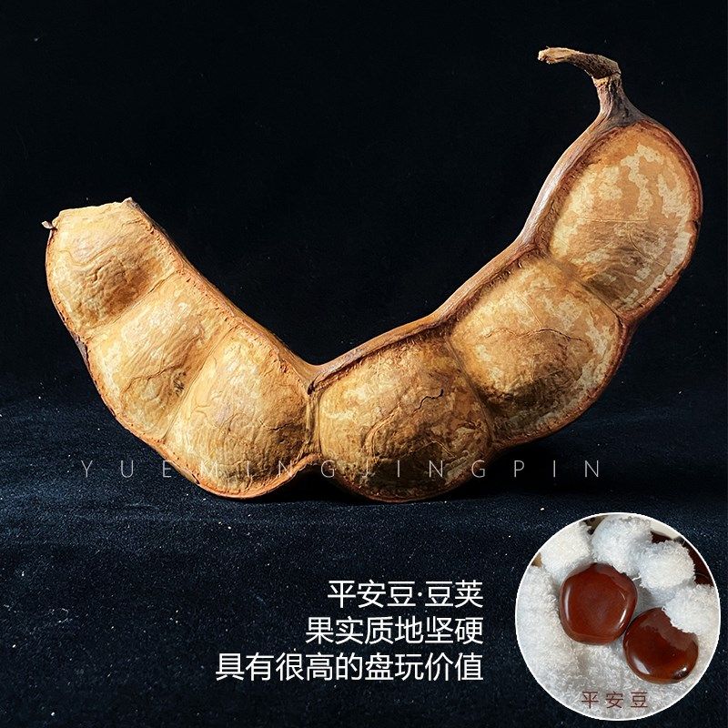 现货天然大豆荚平安豆创意装饰摆件豆荚罗汉豆木T腰子手把件盘玩