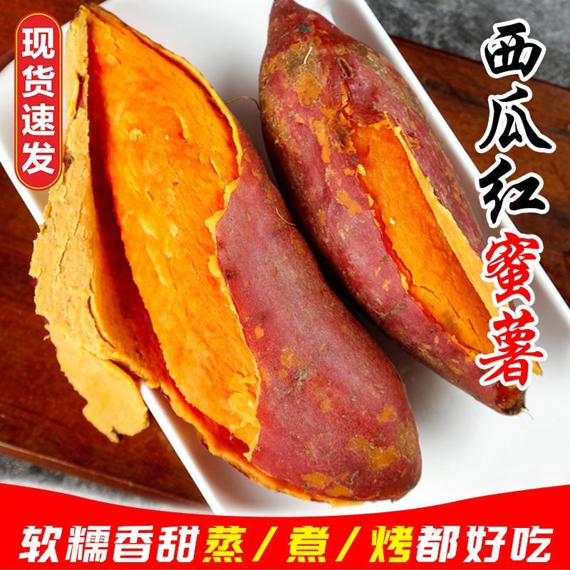 河南特产商用摆摊烤红薯红心地瓜