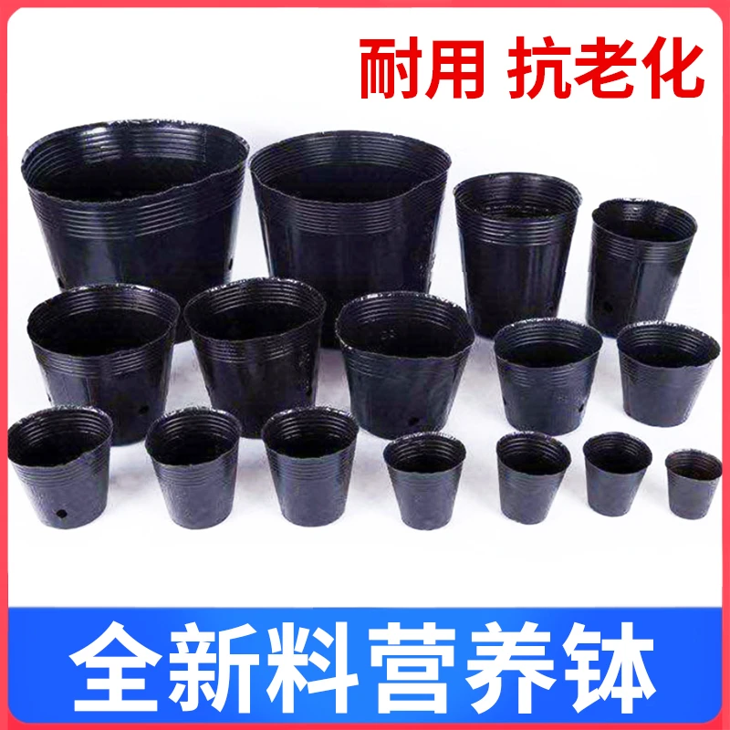 营养育苗杯塑料小碗一次性花盆黑色种植营养袋育苗袋育苗盆营养钵,农机/农具/农膜,育苗盘/营养钵,淘宝优惠券,粉丝福利购,淘宝优惠卷