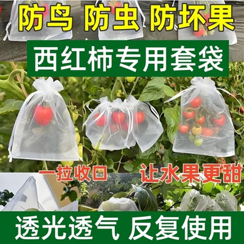 尼龙过滤纱网袋晾干菜晒腊肉火腿防虫网兜水果套袋防鸟茶青种子袋