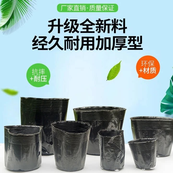 营养杯育苗盆育苗袋育苗杯育苗盒营养钵育种加厚培育一次性花盆盘
