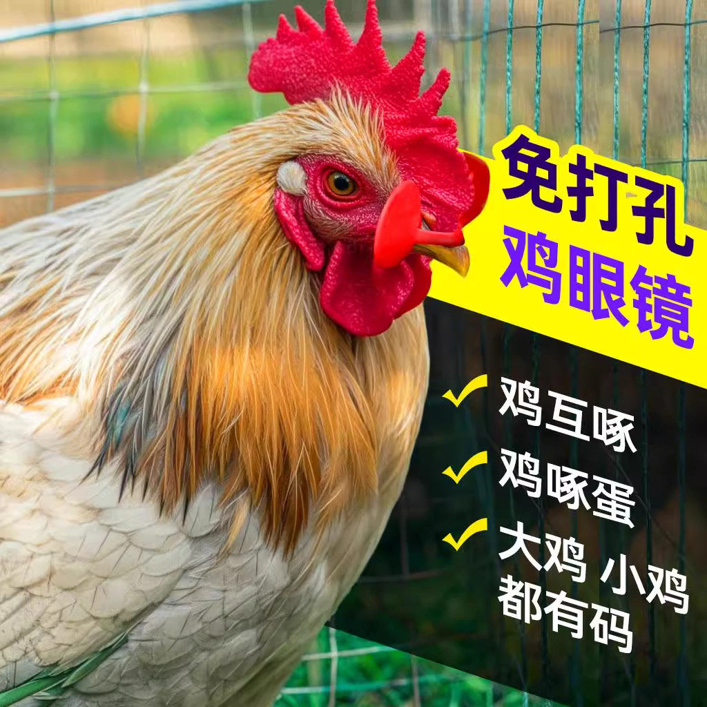 公鸡土鸡专用眼镜防啄防打架眼罩眼镜中大号公鸡用眼镜养殖鸡眼罩