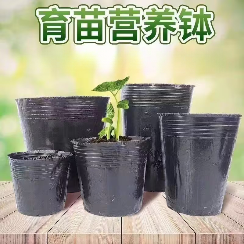 育苗营养杯育苗袋耐用一次性塑料花盆育苗杯营养钵加厚营养袋农用