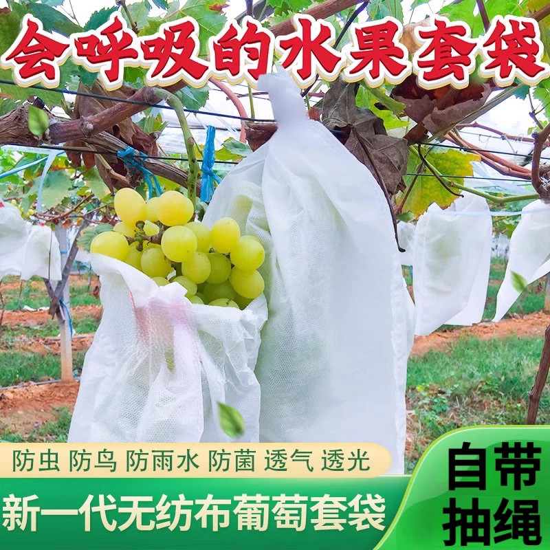 露天防水蝇虫防鸟无纺布葡萄套袋脆柿梨芒苹果脐橙子水果保护套袋