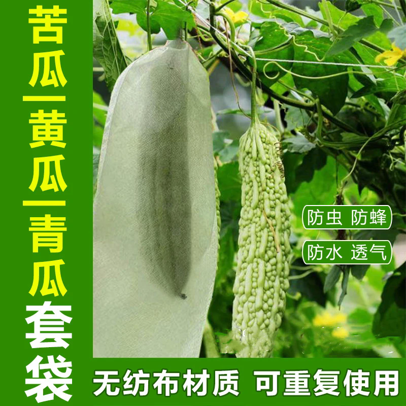 苦瓜套袋丝瓜黄瓜青瓜专用袋防鸟防虫袋子保护袋瓜果蔬菜加厚套袋