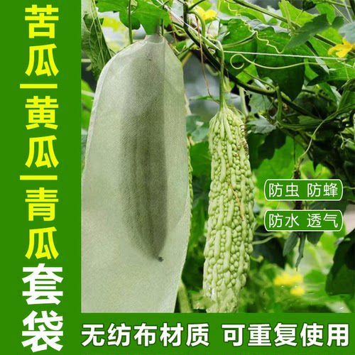 无纺布透气防鸟防虫果蔬专用袋