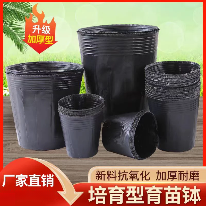 营养杯圆形育苗盆育苗袋育苗杯营养钵育种培育一次性培育花苗菜苗