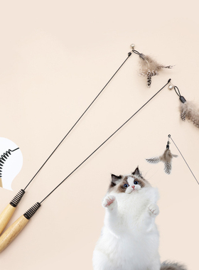 T逗猫棒B1zb551-木柄弹簧逗猫棒羽毛铃铛可拆卸替换头长杆猫