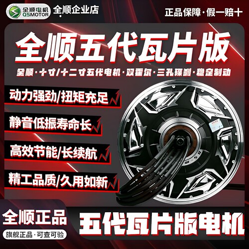 3000瓦片电机全顺10寸12寸四代五代2000w省电版光板九号小牛极核
