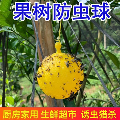 果树防虫球丝瓜苦瓜菜地除虫家用粘虫球菜园沾虫球粘果蝇球丝爪