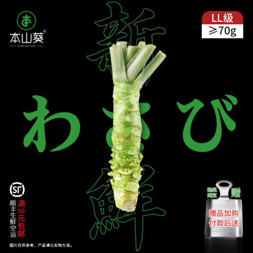 本山葵新鲜山葵厂家直供确保新鲜