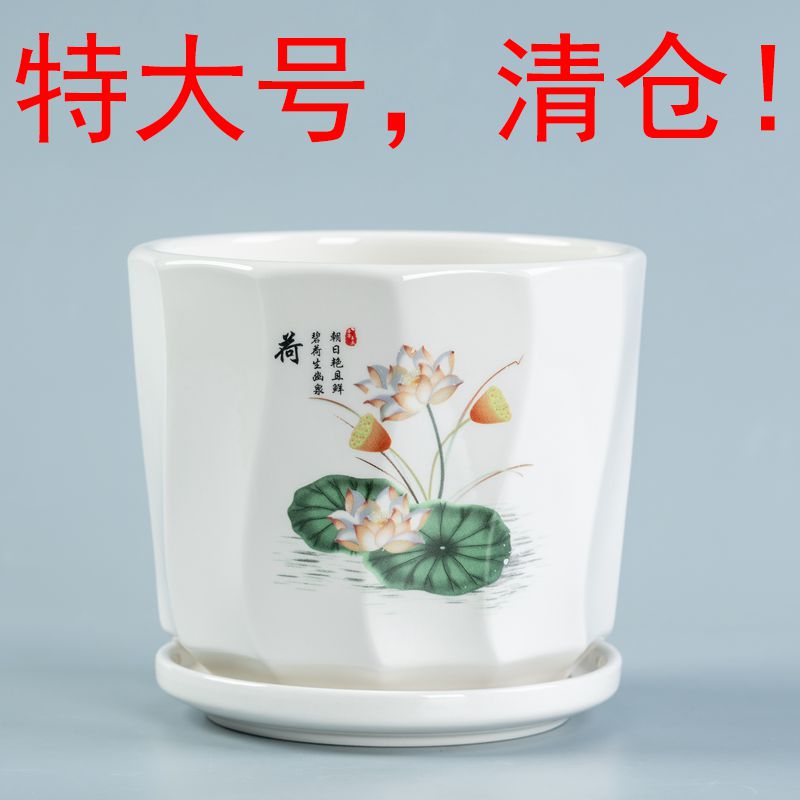 花盆陶瓷大号新款兰花透气特价便宜中国风蝴蝶兰盆景绿植盆景家用