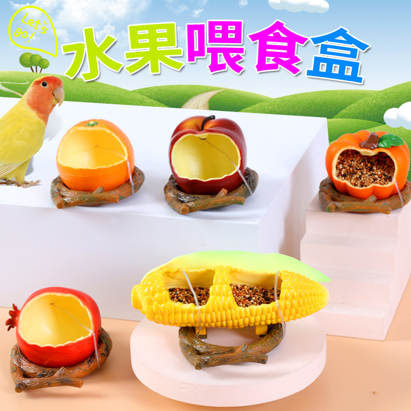鸟水果喂食器鹦鹉鹦鹉喂食器食盒图片