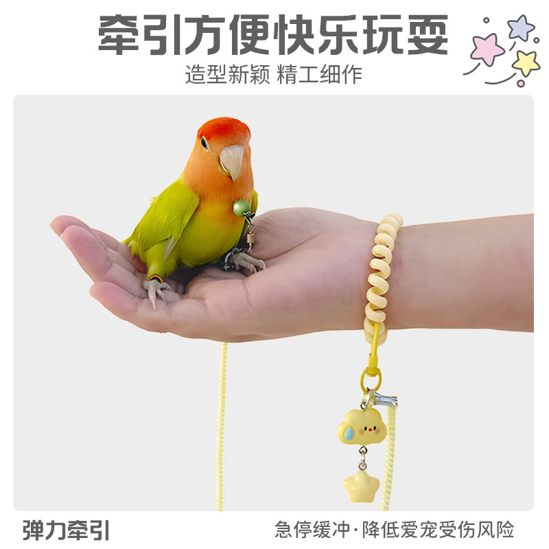 鹦鹉放飞绳虎皮玄风牡丹专用外出脚环牵引绳子超轻遛鸟神器