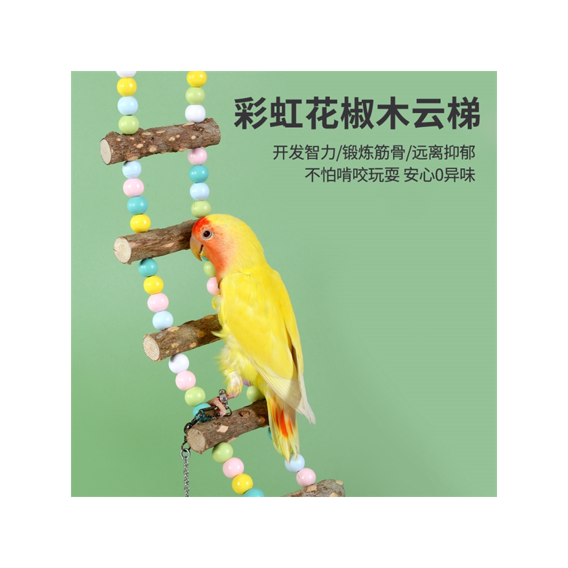 鹦鹉玩具用品大全鸟用秋千啃咬攀爬吊环云梯爬梯虎皮玄凤鸟笼梯子