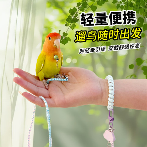 户外遛鸟超轻放飞绳鹦鹉不伤脚玄凤虎皮小太阳外出渐变伸缩绳配件
