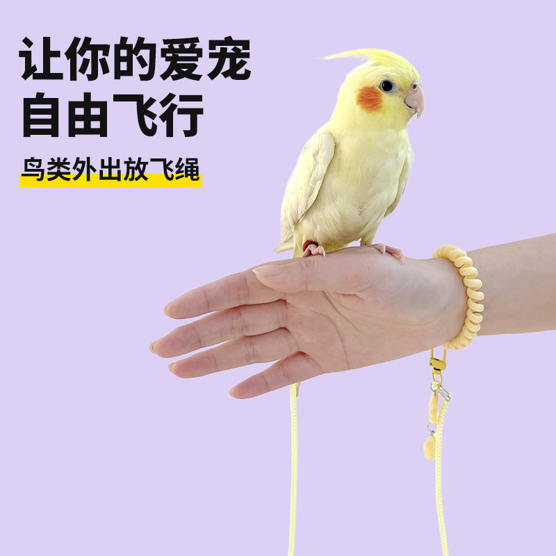 鹦鹉放飞绳牵引绳彩色加长超轻鸟用外出牵引绳护腿硅胶脚环遛鸟