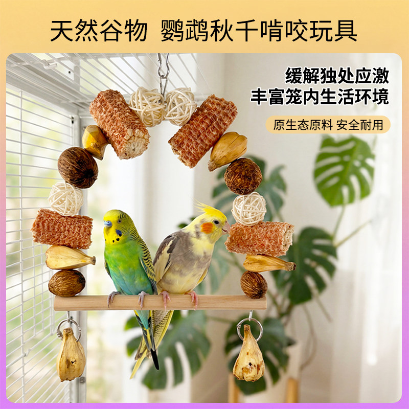 鹦鹉干果秋千攀爬栖息啃咬玩具站杆虎皮牡丹玄凤专用磨爪磨嘴用具图片
