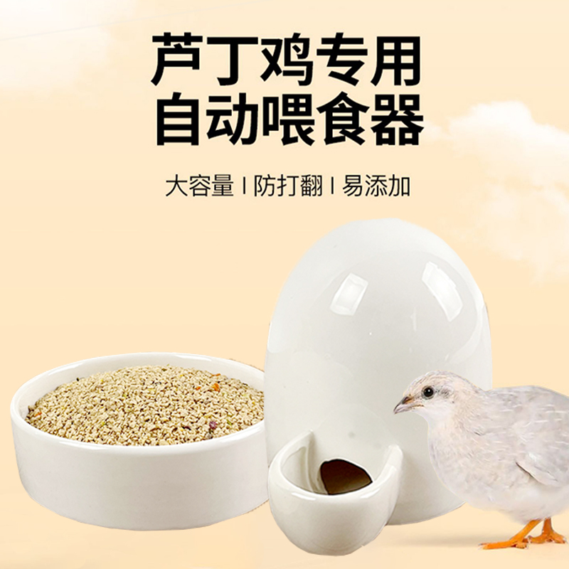小鸡鹌鹑芦丁鸡自动喂食器
