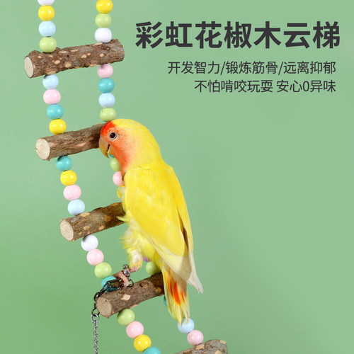 鹦鹉玩具用品大全鸟用秋千啃咬攀爬吊环云梯爬梯虎皮玄凤鸟笼梯子