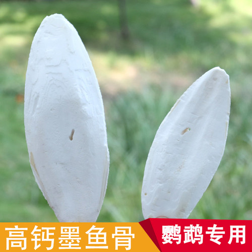 鹦鹉墨鱼骨牡丹鹦鹉海螵蛸玩具