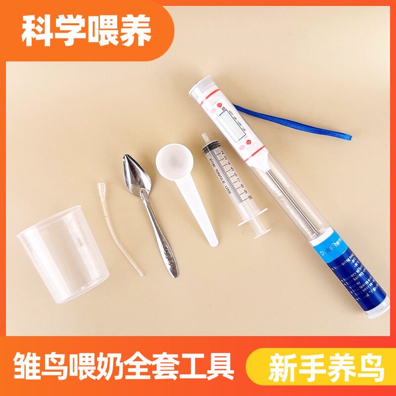 鹦鹉幼鸟喂食器喂奶工具套装鹦鹉用品牡丹玄凤喂食器软管喂食勺