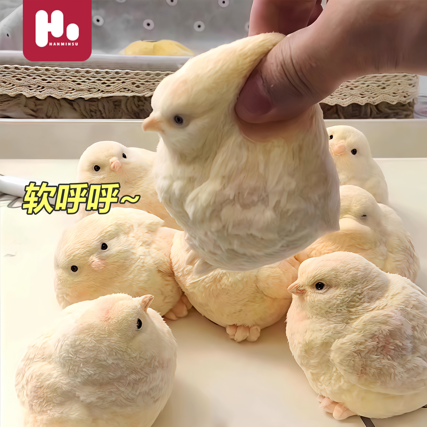小鸡捏捏乐仿真动物毛绒烂泥手感超软食品级解压神器儿童节礼物