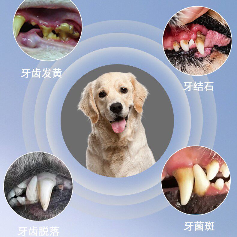 宠物超声波洗牙器结石去