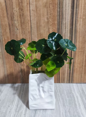 素烧ins风艺术花瓶干器北