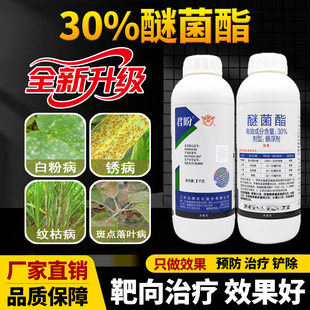 小麦专用药白粉病专用杀菌剂锈病30%醚菌酯水稻纹枯病用农药大全