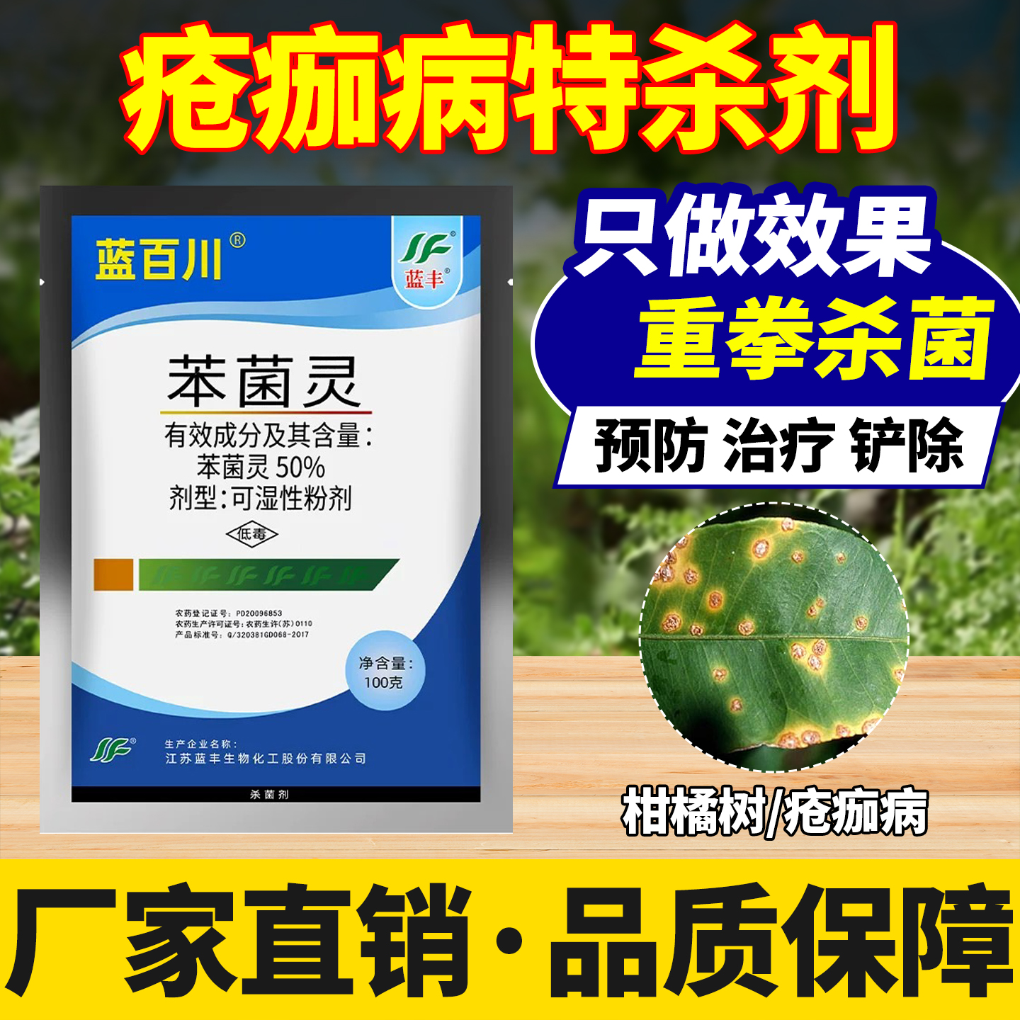 柑橘树疮痂病专用药杀菌剂50%苯菌灵保护治疗农用药效特农药大全