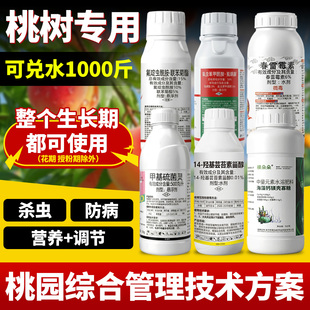 桃树杀虫专用杀虫剂食心虫蚜虫流胶病花前花后药桃子果树农药套餐