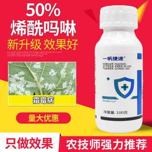 葡萄霜霉病专用药50%烯酰吗啉植物杀菌药效特农用农药大全杀菌剂
