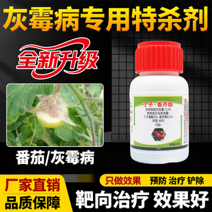 番茄专用药灰霉病专用杀菌剂2.1%丁子香酚香芹酚效特农用药大全