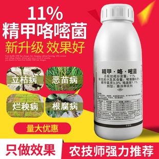 水稻拌种剂专用药杀菌剂精甲咯嘧菌棉花花生种子包衣剂农药种衣剂
