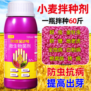 拌成金2号小麦拌种剂种衣剂小麦专用拌种药增产杀菌防虫防菌